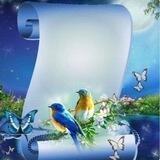 تصميم واجهات تقارير وبحوث