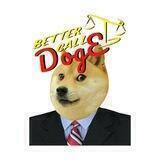 Better Call Doge ⚖️ Portal