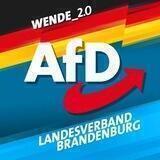 AfD Brandenburg