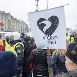 World Wide Rally for Freedom Sweden