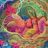 Bewusstwerdung - Wahrheitsfindung 🌺🌿🙏🏻♾🕉️👌🏼