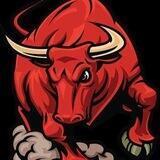 Bull Mania
