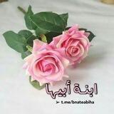 ⸙❀•• همســات إبــنــــۃ أبيــــہـا ••❀⸙