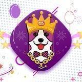 🚀🐕 Corgi of PolkaBridge $CORGIB 🚀🐕
