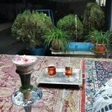 چای قند پهلو