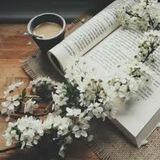 بَلُِشُت حٍڪآيتنآ💛🧚🏻‍♀️ ؛