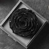 • وَرد أَسْــوَدْ • 🥀🖤