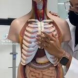 آموزش📚 و درآمد💰