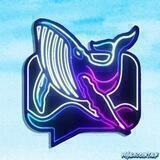 Whale Coin Talk