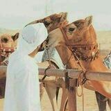✿؛؛ هُـٌـٌــُﯠٌآجيسَُِّ ٌُبـٌــَُـُدۅٌۅٌيَّ ؛؛✿
