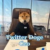 Twitter Doge CEO | Portal