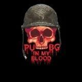 Pubg 2.5 files
