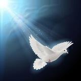 Слово Ангела 👼
