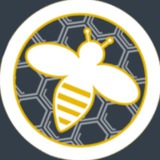 CoinsBee