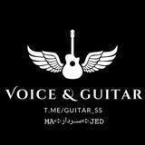 🎸ویسای گیتاری🎼