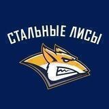МХК «Стальные Лисы»