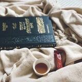 الريّ بالوحي "الجمع بين الصحيحين"