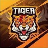 TIGER GAMING