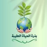 🌱بذرة الحياة الطيبة🌱