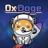 0xDoge | Portal