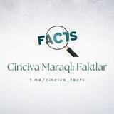 Cinciva Maraqlı Faktlar