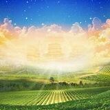 我们的家园※华人资讯互动交流中心