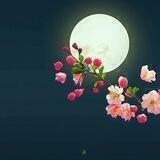 🌷جمال الورد ورقته🌷