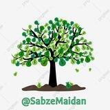 دلار سبزه میدان طهران