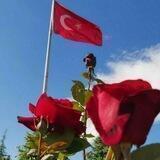 Türkçe anketler