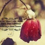 💗زمزمه عشق 💗