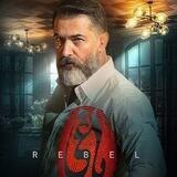 فیلم و سریال نمایش خانگی