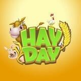تجمع لاعبين 🇸🇦 Hay Day