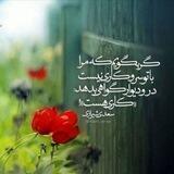 آوای نسیم ...✍🎙🌸