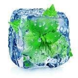 Ice_Shop 24/7