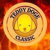 TEDDY DOGE CLASSIC RISE UP AGAIN