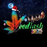 ویدلش | weedlash