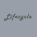 Студія дубляжу Lifecycle