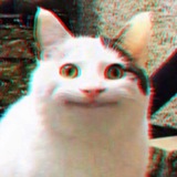 Memasius🐱