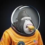 Ape in Everything