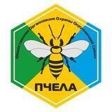 ПЧЕЛА