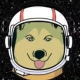 Shiba Space Inu l Official |