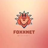 Fox Net 🦊