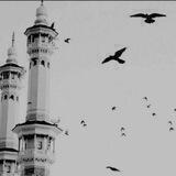 منبّه الحَوقلَة! '💙