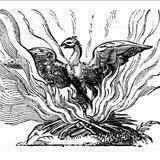 Phoenix Apotheosis