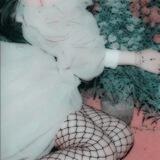 Store cici