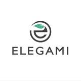 ELEGAMI SHOES