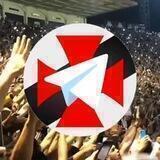 ️⚽️🇺🇦 𝕍𝕒𝕤𝕔𝕠𝔾𝕣𝕒𝕞™ - Vasco da Gama no Telegram