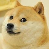 DogeLore