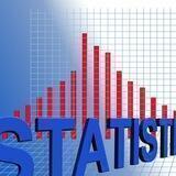 Stat.отчет