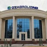 O‘zagrolizing